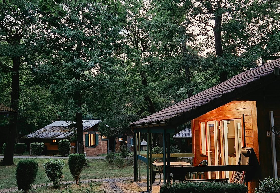Cottages glowing among the trees at dusk